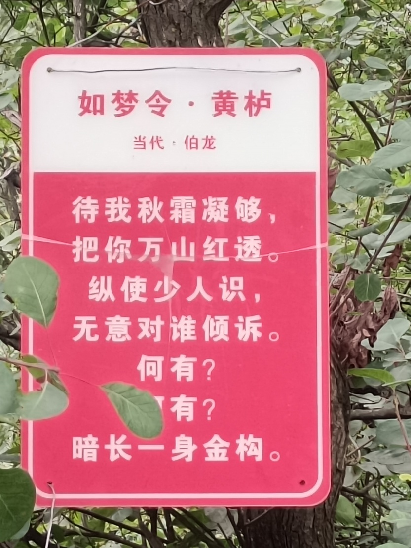 68c7969ee1f69.jpg