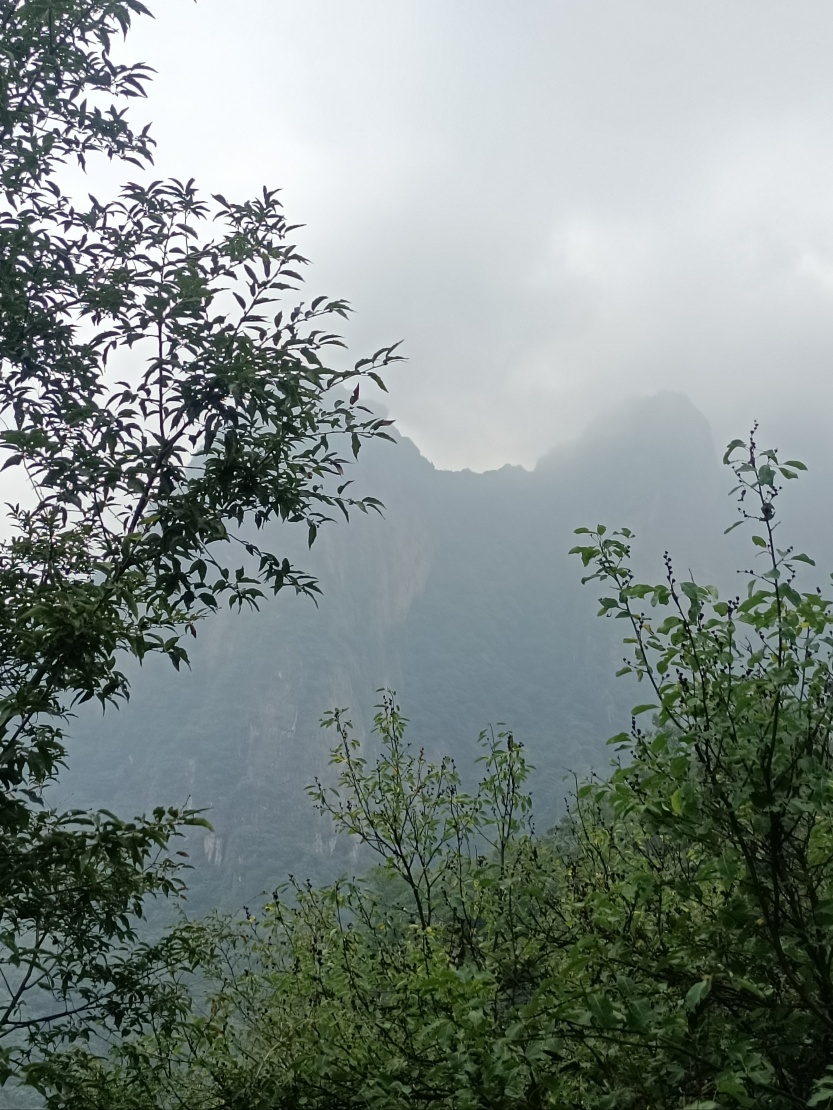 68c80e362247b.jpg