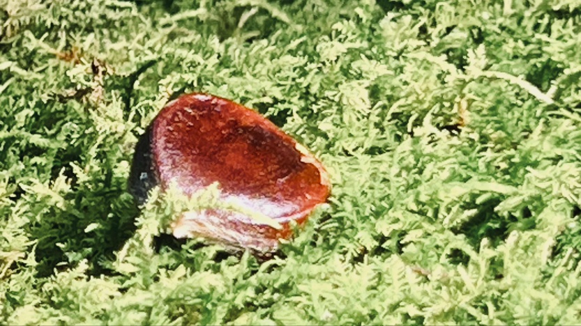 68d75da97991c.jpg
