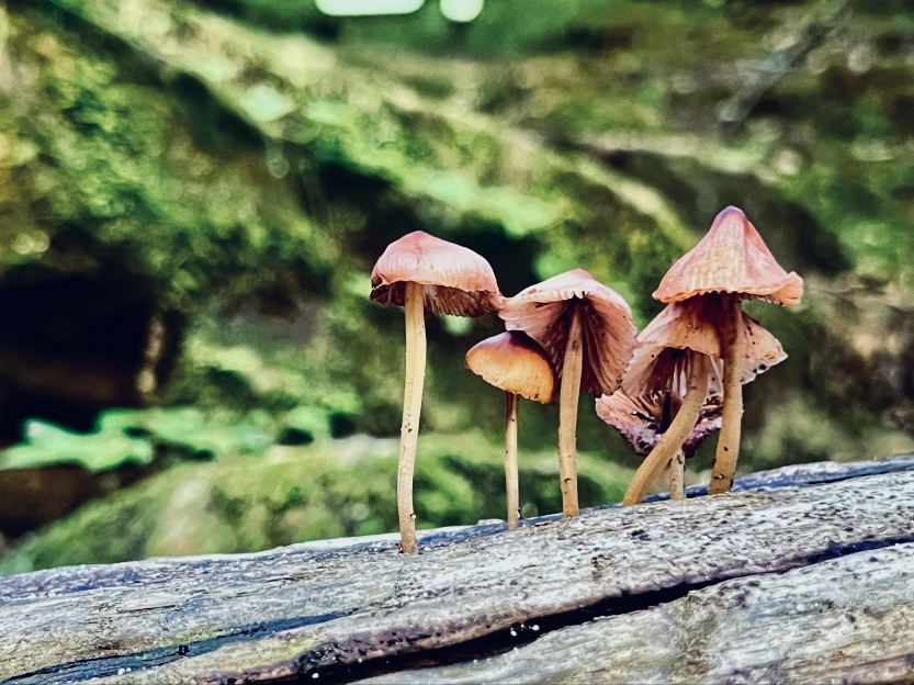 68d75e4a841ce.jpg
