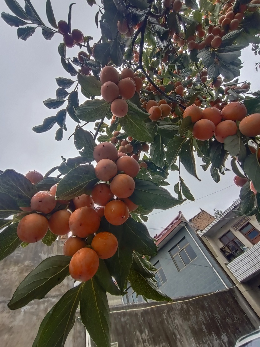 68e7337031df2.jpg