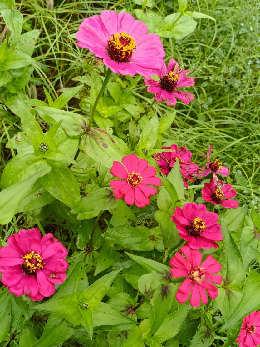 68e733d8d50d6.jpg