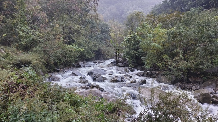 68edf0484c2f4.jpg