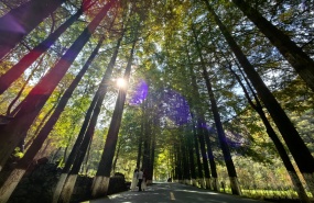 秦岭觅秋～高江路