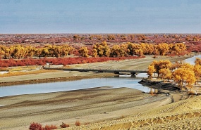 塔里木河畔的罗布人村寨