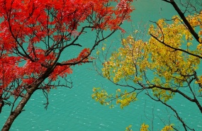 彩林盛宴之松坪沟