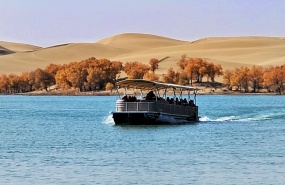 走进尉犁“塔塔秘境”